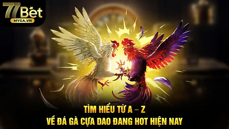 Tìm Hiểu Từ A - Z Về Đá Gà Cựa Dao Đang HOT Hiện Nay